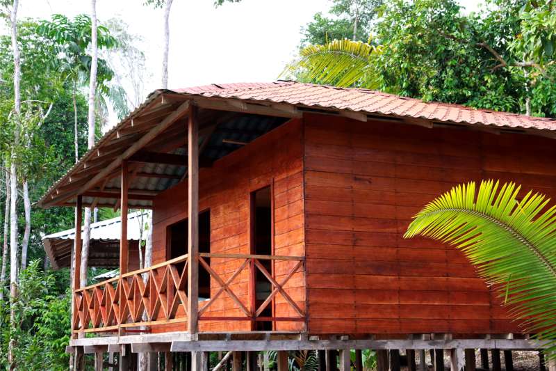 Foto da estrutura da pousada Amazon Peacock Paradise