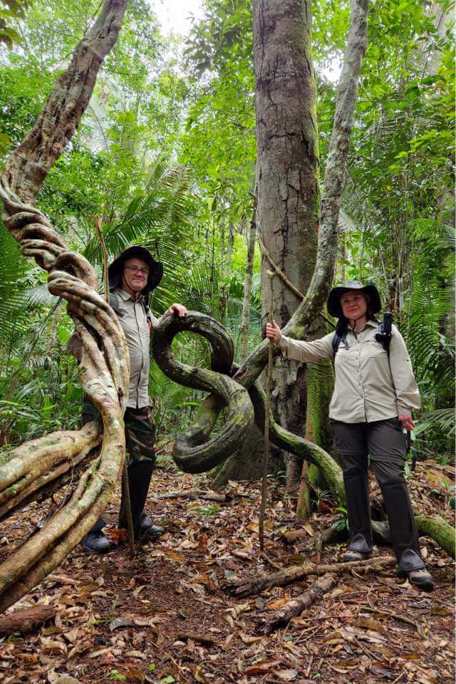 Trilha na Selva